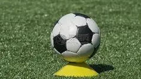 开云体育app评价 资讯 103139 38d