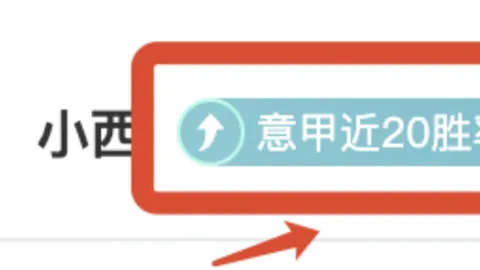 荷甲赛事分析：期号专家推荐，质合分析揭示攻防节奏